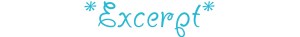 excerpt